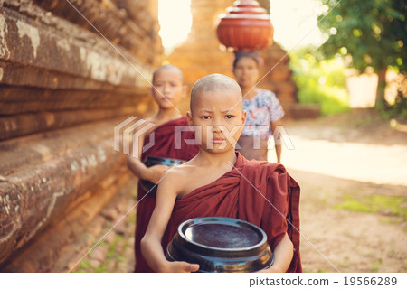 Buddhist novice monks collecting foods 19566289
