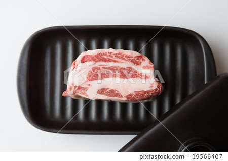 Iberian pig  19566407