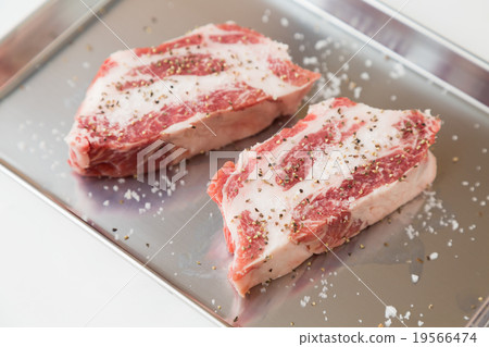 Iberian pig  19566474