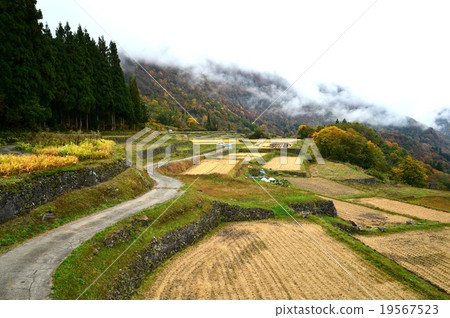 Ishigaki field 19567523