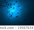 大島1 19567634
