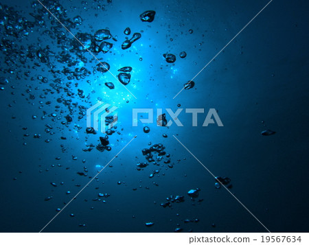 大島1 大島1 19567634