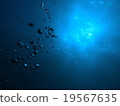 大島2 19567635