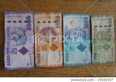 錢在坦桑尼亞 19568507