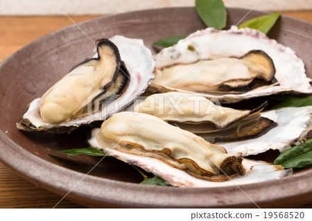 Oyster serving Bizen grill 19568520
