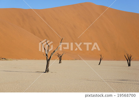 納米布沙漠 19568700