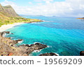 Hanauma Bay of Hawaii 19569209