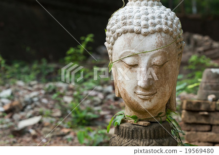 buddha statue in wat umong, chiang mai 19569480