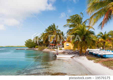 Coast of one of the islands of Cuba. 19570175