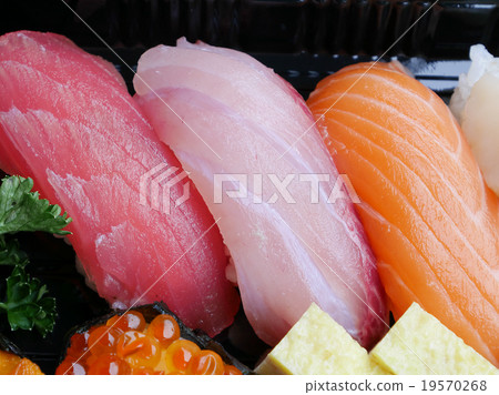 The close up of Japanese delicious sushi set 19570268