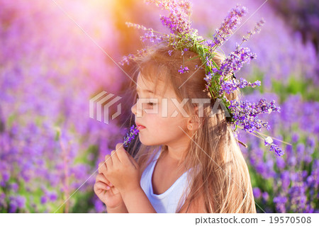 Little girl on lavender field Little girl on lavender field 19570508