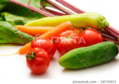Set of fresh vegetables 19570951