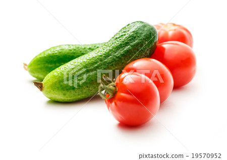 Fresh cucumbers and tomatoes on white Fresh cucumbers and tomatoes on white 19570952