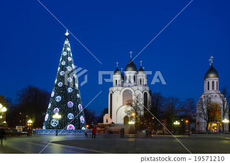 The Christmas tree in Kaliningrad 19571210