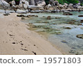 海濱 19571803