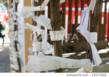 Omikuji 19571806
