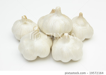 Garlic 19572164