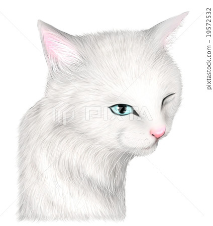 Realistic white cat illustration 19572532