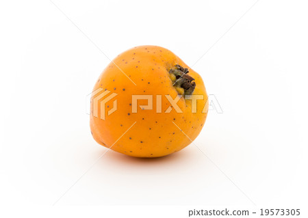 Tejocote：tejocote（山楂（Crataegus mexicana）） 19573305