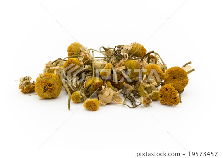 Chamomile: Chamomile Chamomile: Chamomile 19573457