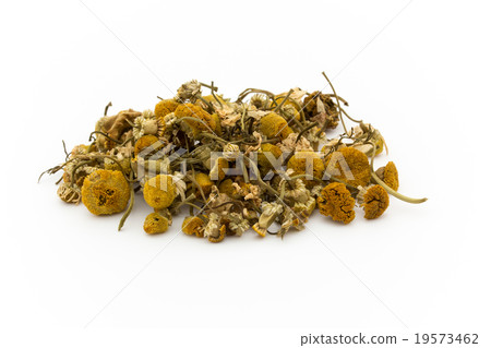 Chamomile: Chamomile 19573462