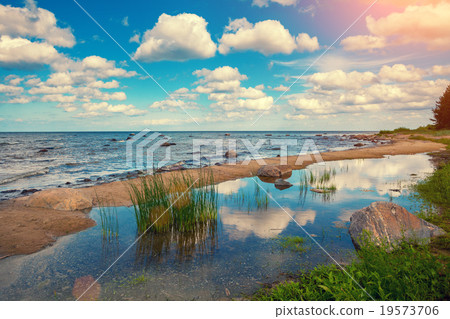 Baltic sea coast 19573706