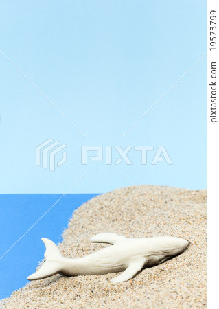 地面鯨:擱淺的鯨魚 地面鯨:擱淺的鯨魚 19573799