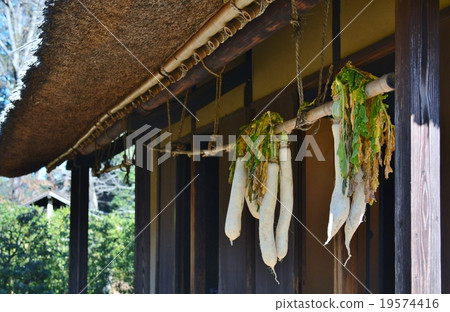Old private house dried radish 19574416