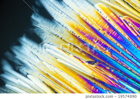 檸檬酸的晶體 檸檬酸的晶體 19574890