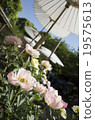Spring Ueno spring pot 19575613