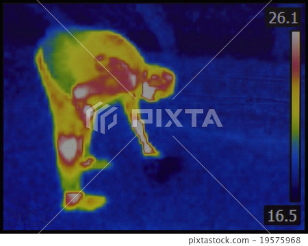 Wet Floor Problem 19575968