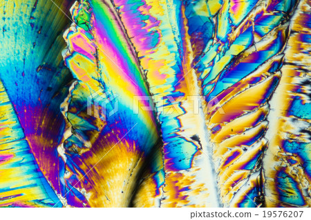 檸檬酸的晶體 19576207