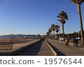 洛杉磯的海灘 19576544