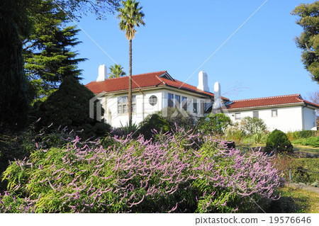 December Flower Amethyst Sage · Labiaceae 57 Hill Park where you can see the harbor December Flower Amethyst Sage · Labiaceae 57 Hill Park where you can see the harbor 19576646