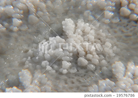 The big crystal of salt of Dead Sea The big crystal of salt of Dead Sea 19576786