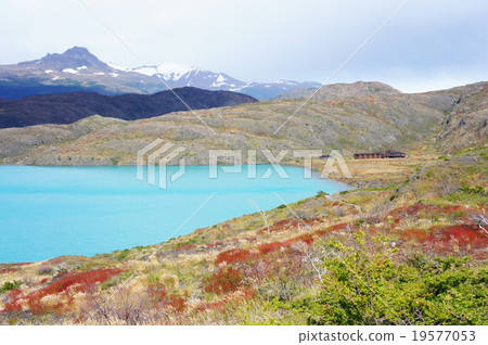 松樹國家公園 19577053