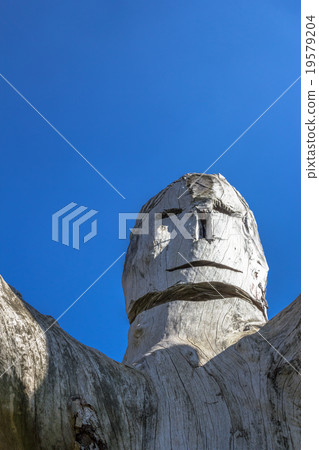 Tree trunk carved Tree trunk carved 19579204