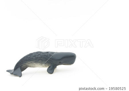 玩具抹香鯨:玩具抹香鯨 玩具抹香鯨:玩具抹香鯨 19580525