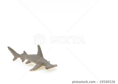 玩具雙髻鯊玩具雙髻鯊 玩具雙髻鯊玩具雙髻鯊 19580526