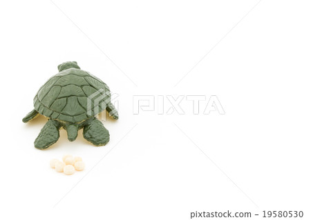 Turtle spawning: toy sea turtle laying eggs 19580530