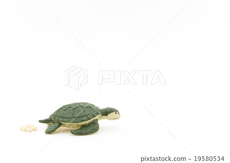 Turtle spawning: toy sea turtle laying eggs 19580534