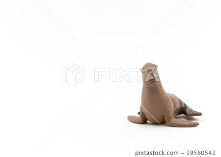 Toy sea lion: Toy Sea Lion Toy sea lion: Toy Sea Lion 19580541