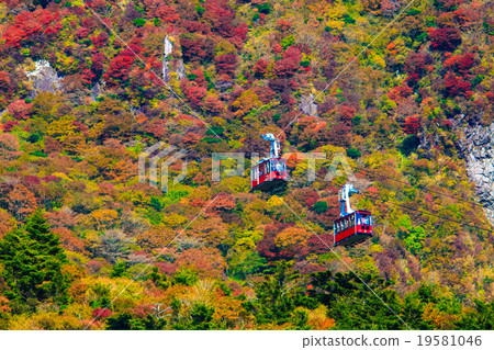 Autumn leaves of Nita Pass and ropeway 19581046