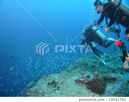 在帕勞著名的潛水點的藍色角落使用當前的鉤子進行水肺潛水 在帕勞著名的潛水點的藍色角落使用當前的鉤子進行水肺潛水 19581782