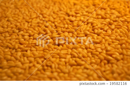Peeled kernel cedar nuts in bulk close up in bulk 19582116