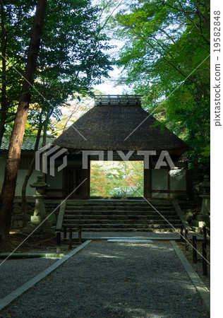 京都文京區 19582848