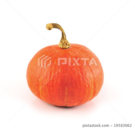 yellow pumpkin on a white background. 19583062