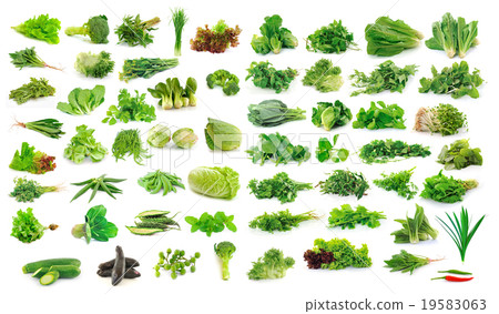 Vegetables collection isolated on white background 19583063