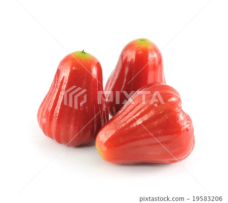 Rose apples or chomphu isolated 19583206