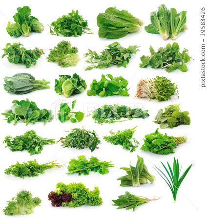 Vegetables collection isolated on white background 19583426
